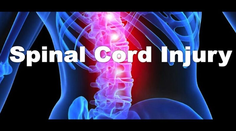 Finding the Right Spinal Cord Injury Lawyer