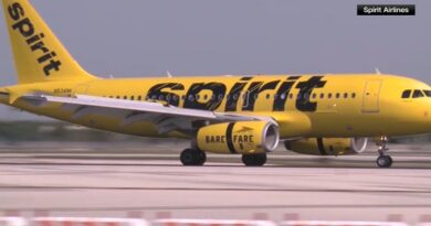 Spirit Airlines Dress Code