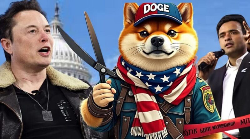 DOGE’s Government